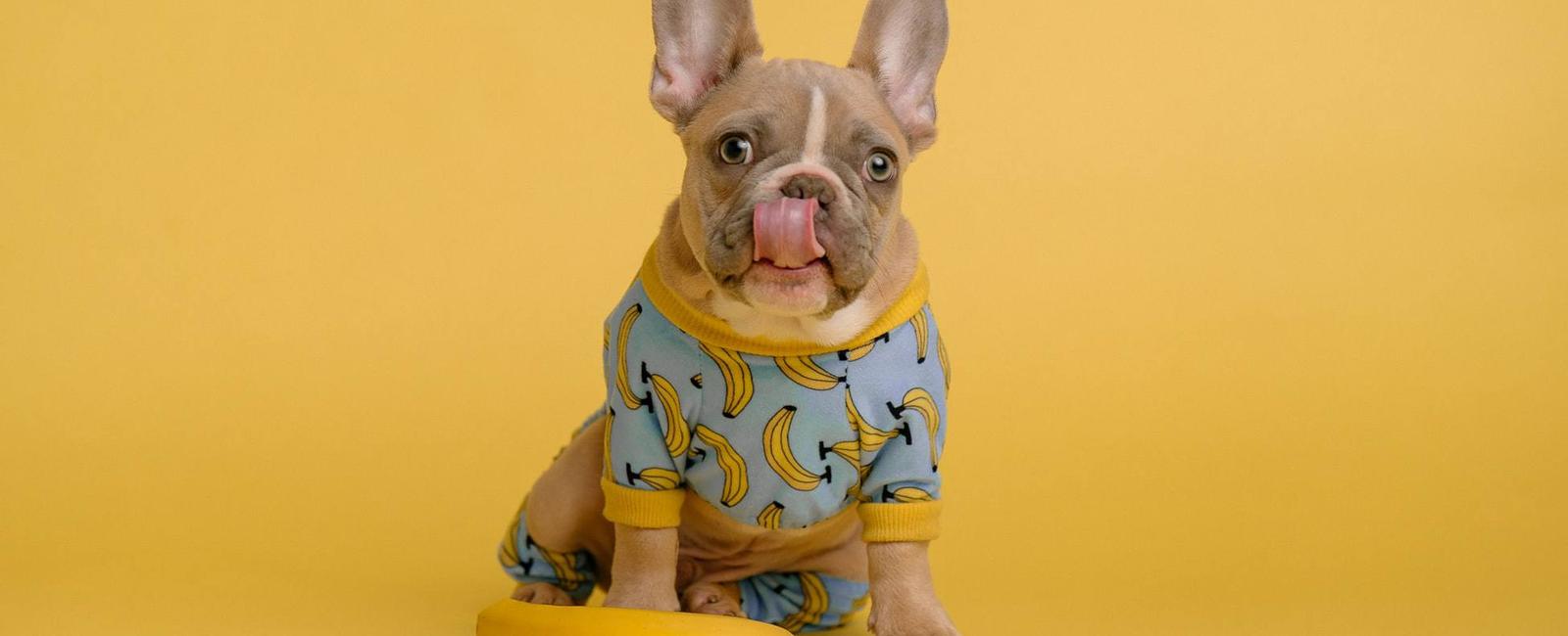 Third Sample Article for GatsbyJS Theme